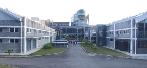 創(chuàng)園國(guó)際執(zhí)行總裁杜樹(shù)萍 不忘初心 方得始終